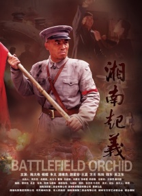国内精品久久久久影院亚洲